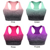 ElevateFit Seamless Sports Bra ATHLEXES