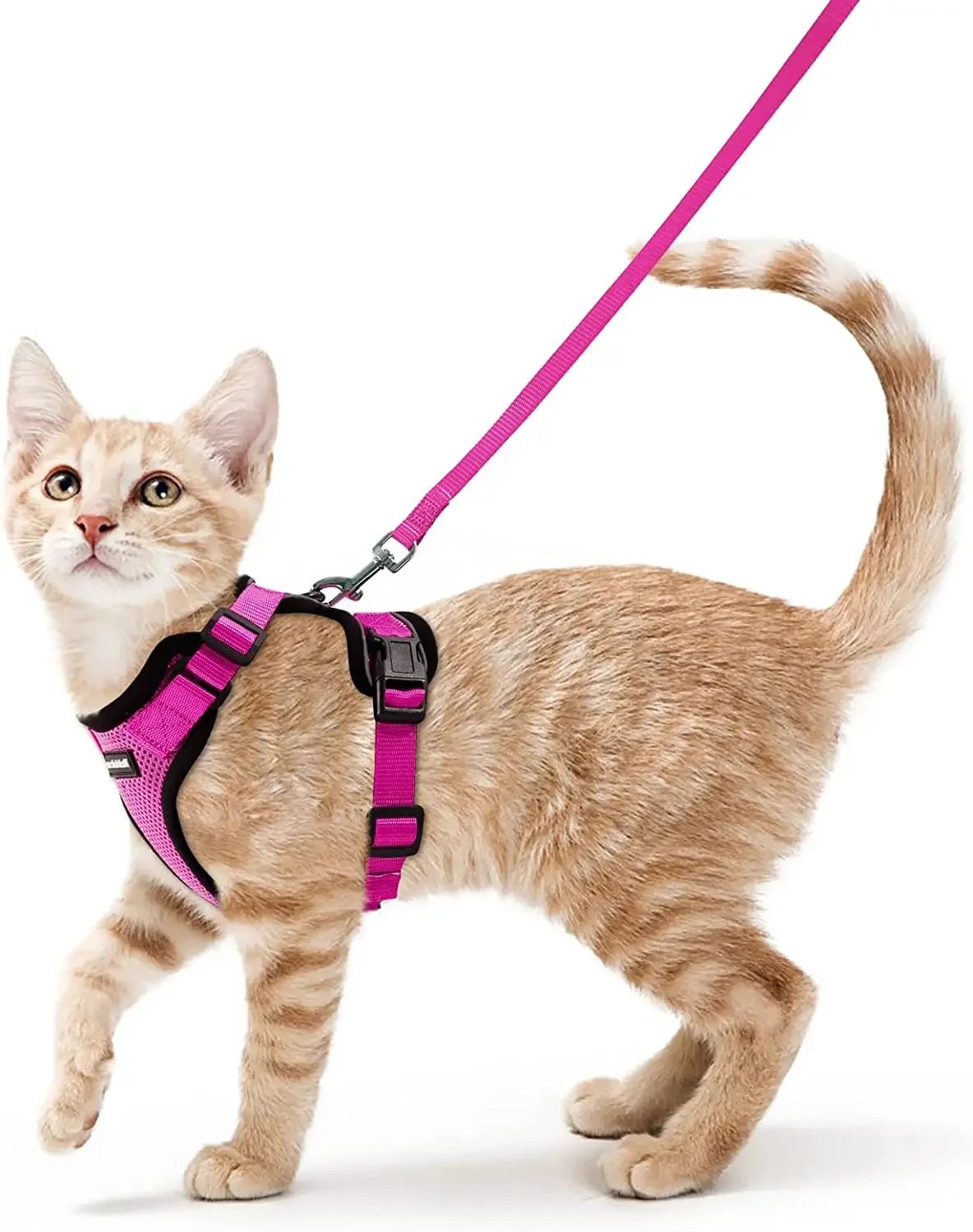 ATUBAN Cat Harness and Leash for Walking,Escape Proof Soft Adjustable Vest Harnesses for Cat,Breathable Reflective Strips Jacket ATHLEXES