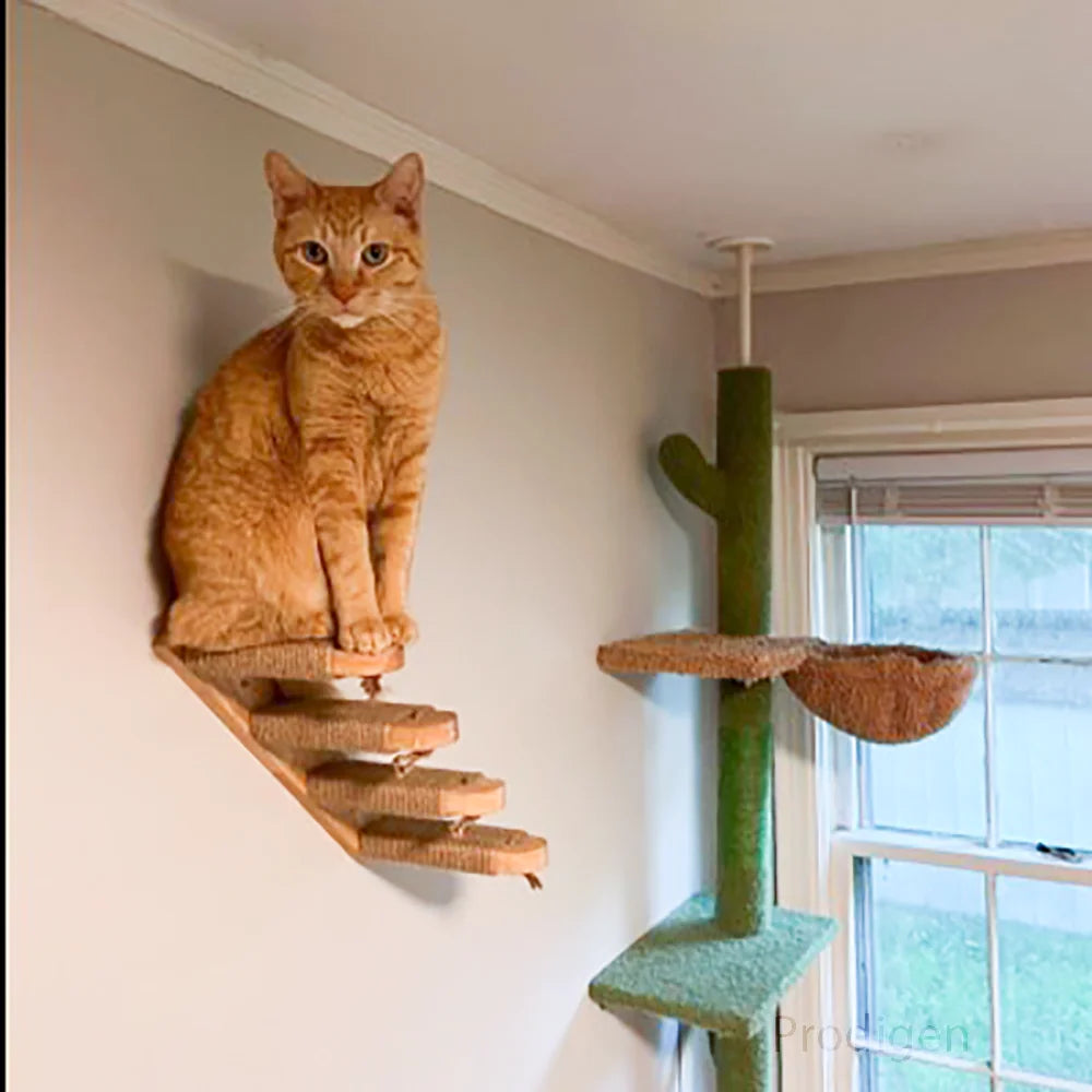 Wall-Mounted Wooden Cat Shelves ATHLEXES