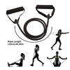 Premium Resistance Bands With Handles For Strength Training ATHLEXES