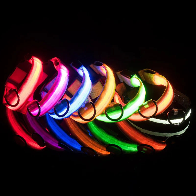 LED Glowing Dog Collar ATHLEXES