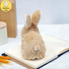 BunnyJoy Electric Plush Toy for Kids ATHLEXES