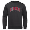 Chicago City Letter Print Hip Hop Hoodie for Men ATHLEXES