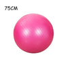 CoreBalance Premium Yoga Ball ATHLEXES