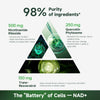NR900 Ultra NAD Boost - Liposomal Supplement ATHLEXES