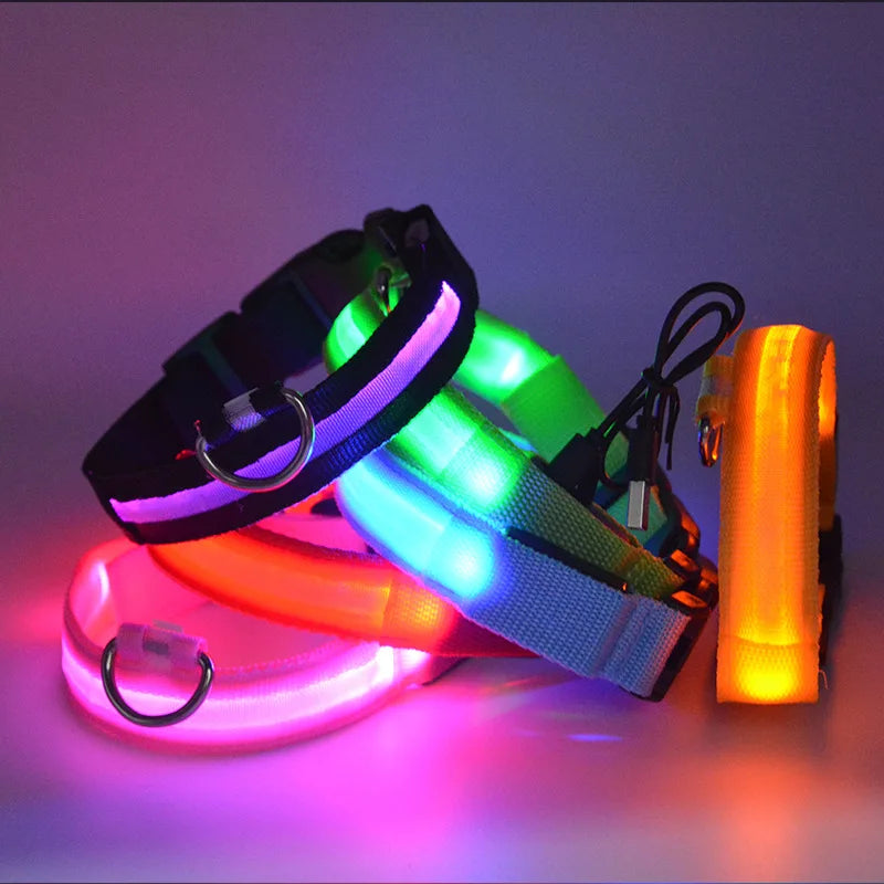 LED Glowing Dog Collar ATHLEXES