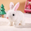 CuddleHop Interactive Dancing Rabbit Toy ATHLEXES