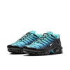 Nike Air Max Plus DM0032-003 Shoes ATHLEXES