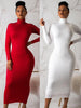 Elegant Slim Fit High Collar Winter Dress ATHLEXES