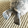 Plush Seal Pillow - Adorable 20cm Soft Doll Toy ATHLEXES