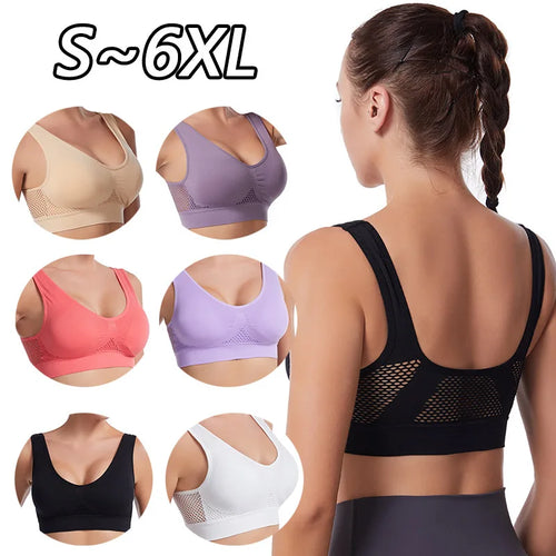  ATHLEXES