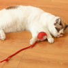 PlayFetch Automatic Ball Toys for Cats and Dogs ATHLEXES