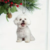 files/S71e528b0373f431abb5f25153a37aafc5.webp