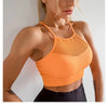 Elevate Seamless Yoga Sports Bra ATHLEXES