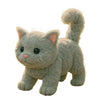 CuddleBot Interactive Robot Cat Toy ATHLEXES