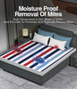CozyStripe Heated Blanket with Adjustable Warmth ATHLEXES