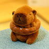 Capybara Wings Plush Hoodie Toy ATHLEXES