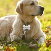 files/S761ec472a7a148f5a21882b4a42d6f2eX.webp