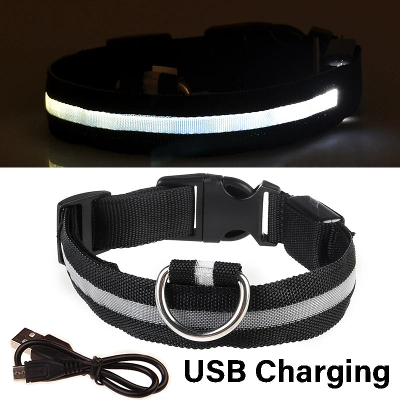 LED Glowing Dog Collar ATHLEXES