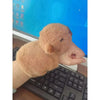 Kawaii Capybara Plush Wristband Bracelet ATHLEXES