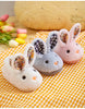 CozyRabbit Plush Kids Indoor Winter Slippers ATHLEXES