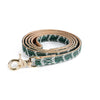 Luxury Snakeskin Soft Leather Pet Collar & Leash Set ATHLEXES