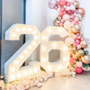 Giant LED Birthday Number Frame for Celebrations ATHLEXES