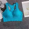 ElevateFit Push Up Sports Bra for Active Women ATHLEXES