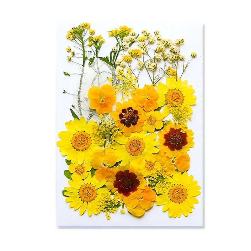 Pressed Floral Epoxy Kit for DIY Jewelry Crafts ATHLEXES
