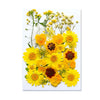 Pressed Floral Epoxy Kit for DIY Jewelry Crafts ATHLEXES