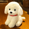 Realistic Teddy Dog Plush Toy for Kids ATHLEXES