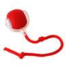 Playful Paws Interactive Ball Toys for Cats and Dogs ATHLEXES