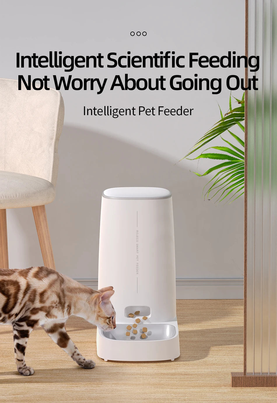 ROJECO Automatic Cat Feeder Pet Smart WiFi Cat Food Kibble Dispenser Remote Control Auto Feeder For Cat Dog Dry Food Accessories ATHLEXES