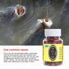 High Protein Fishing Bait Attractant Pellets ATHLEXES
