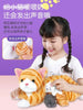 Talking Plush Cat Toy with Sound and Light ATHLEXES