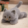 Cozy Friends Plush Cat and Dog Toy Set ATHLEXES