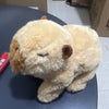 CapyBuddies Interactive Plush Toy ATHLEXES