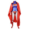 Steel Hero Adults Cosplay Zentai Bodysuit Costume ATHLEXES