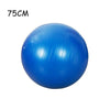 CoreBalance Premium Yoga Ball ATHLEXES