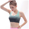 ElevateFit Seamless Sports Bra ATHLEXES
