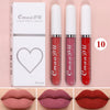 Sexy Velvet Matte Lip Gloss ATHLEXES