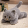 Cozy Friends Plush Cat and Dog Toy Set ATHLEXES