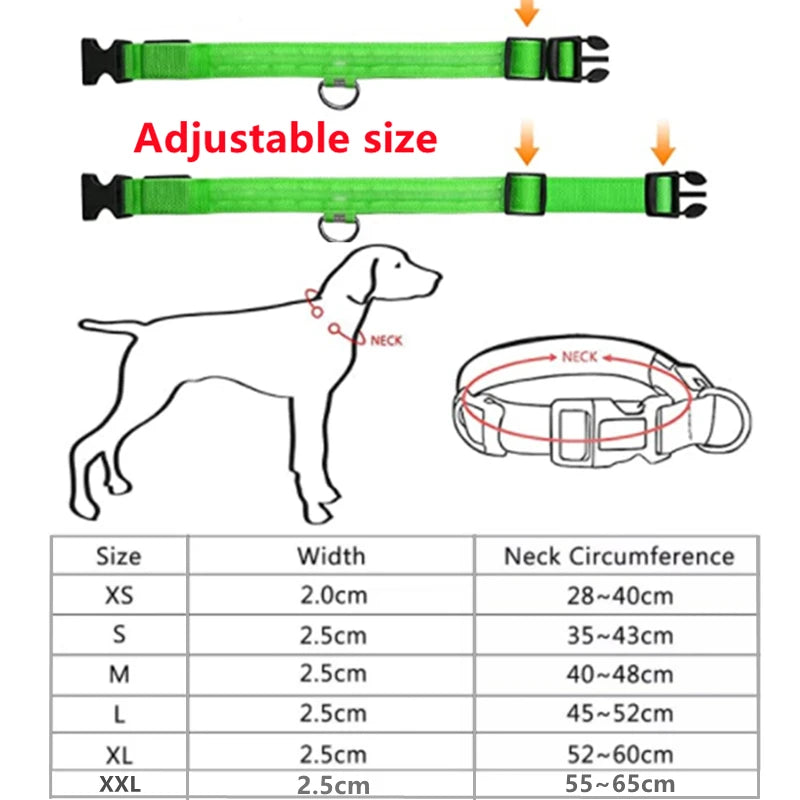 LED Glowing Dog Collar ATHLEXES