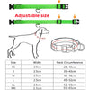 LED Glowing Dog Collar ATHLEXES