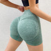 ElevateFit High Waist Womenâ??s Performance Shorts ATHLEXES