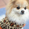 ChicWarm Fleece Dog Sweaters for Winter Chihuahua Comfort ATHLEXES