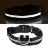 LED Glowing Dog Collar ATHLEXES