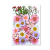 Pressed Floral Epoxy Kit for DIY Jewelry Crafts ATHLEXES
