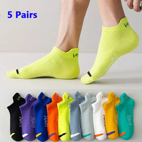  ATHLEXES
