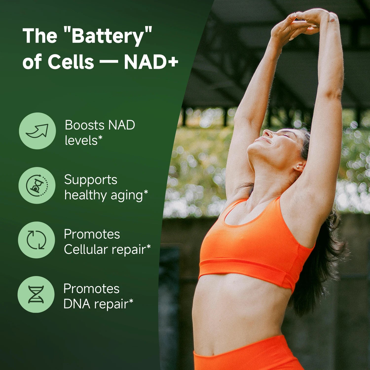 NR900 Ultra NAD Boost - Liposomal Supplement ATHLEXES